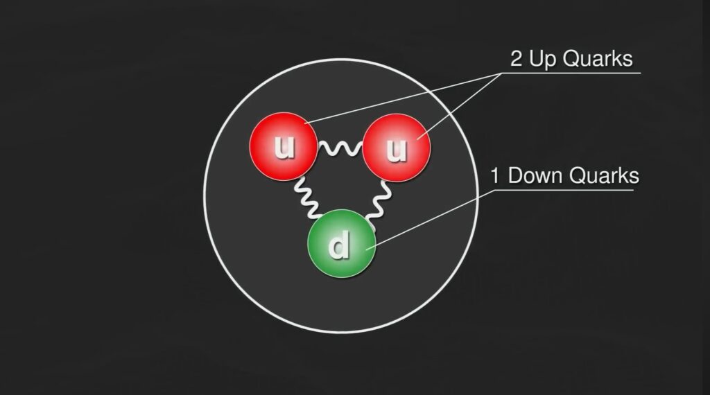 scientists initially believed that protons were composed of only two up quarks and one down quark.